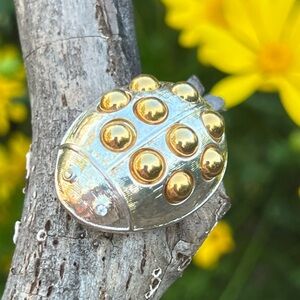 Vintage Darlene Silver & Gold Tone Ladybug Brooch – Excellent Condition